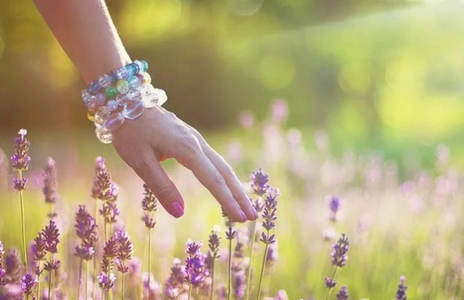 Неповторимая радость. Нежные цветы в руках. Нежность природа. Гармония и счастье. Радость счастье Гармония.