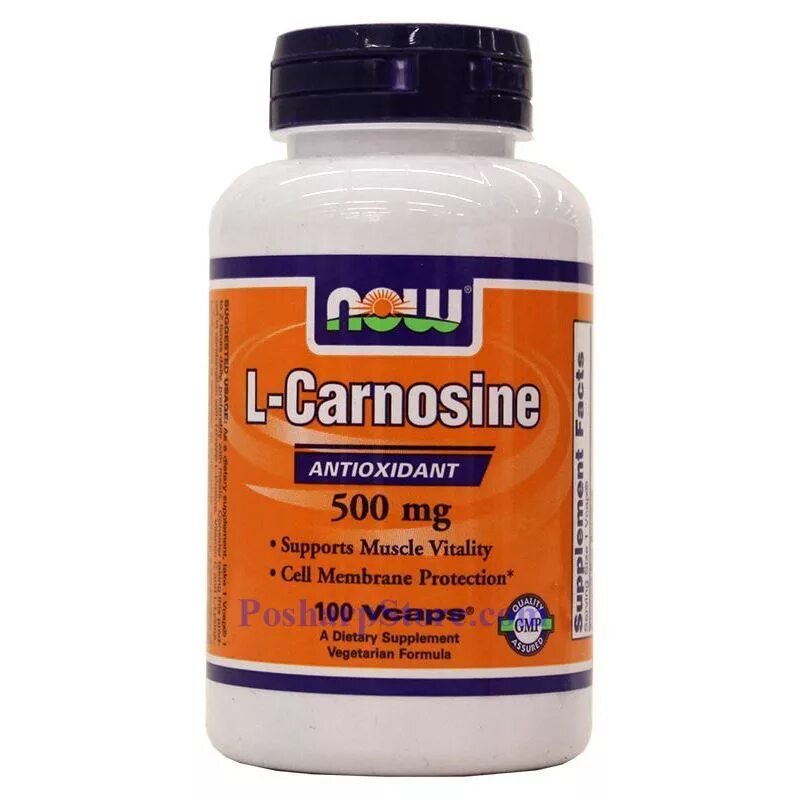 L-Carnosine 500 MG. Цинк л карнозин. Карнозин антиоксидант. Л карнозин Now. Л карнозин купить