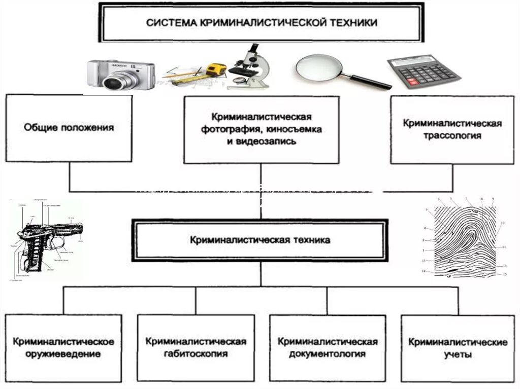 Структура криминалистической техники. Криминалистическая методика схема. Возникновение криминалистической техники. Технико-криминалистические средства схема. Общая криминалистическая методика