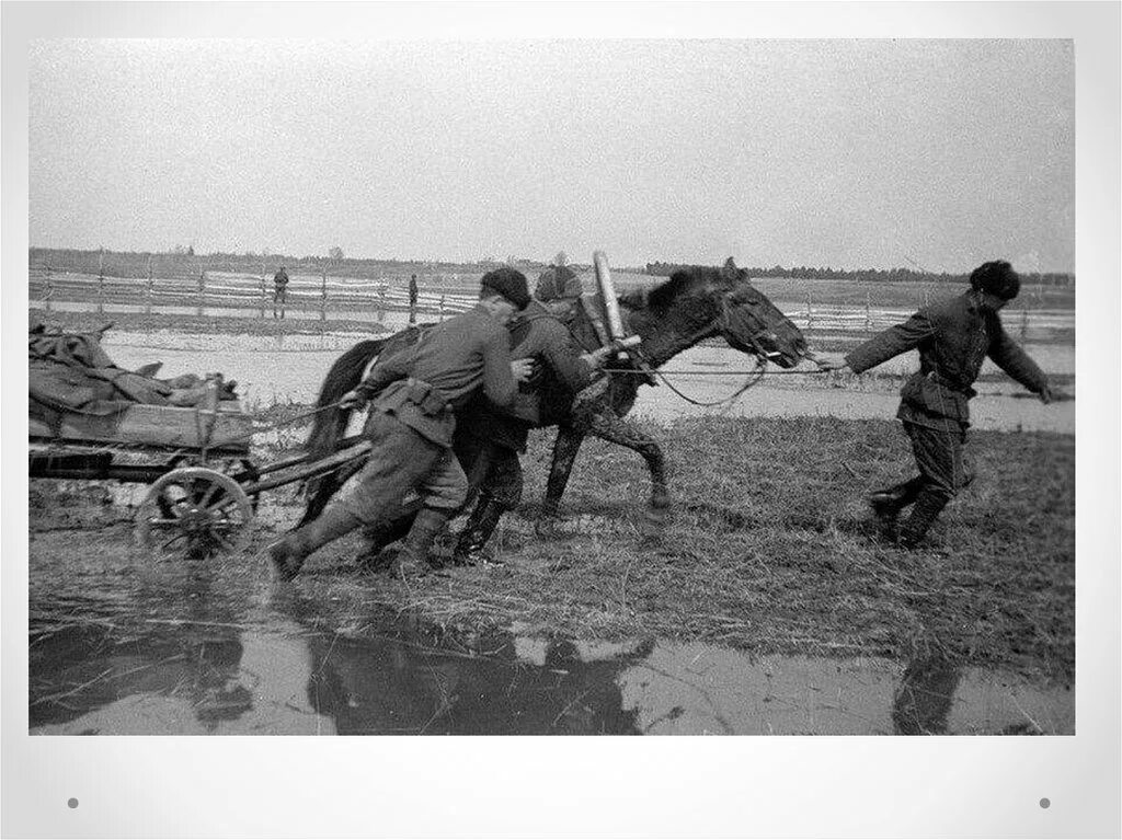 Лошади во время войны. Лошади в ВОВ 1941-1945 гг. Лошади в годы Великой Отечественной войны. Бойцы красной армии 1941-1945 в грязи. Лошади на фронте Великой Отечественной войны.