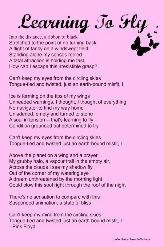Learn to fly текст. Pink try текст. pink floyd текст. слова песни try pink. learning to fly pink floyd текст.