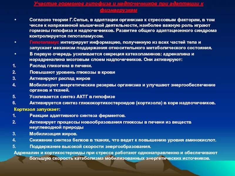 Гормоны и их роль в адаптации к мышечной деятельности. Роль гормонов при мышечной работе. Адаптация организма к мышечной работе. Ролл гормонов для мышечной деятельности.