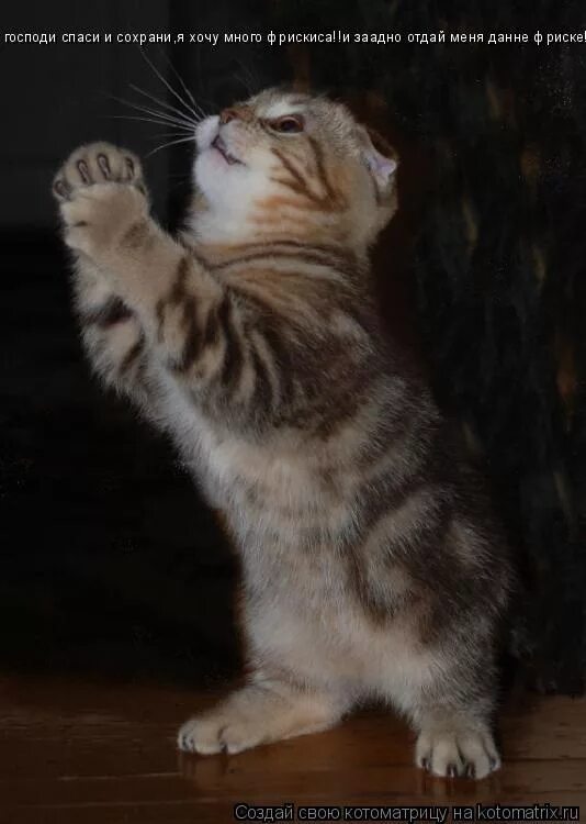 Цитаты из фильмов. Не уходи фото. Прости меня саша. Не уходи от меня. Фото я без тебя.