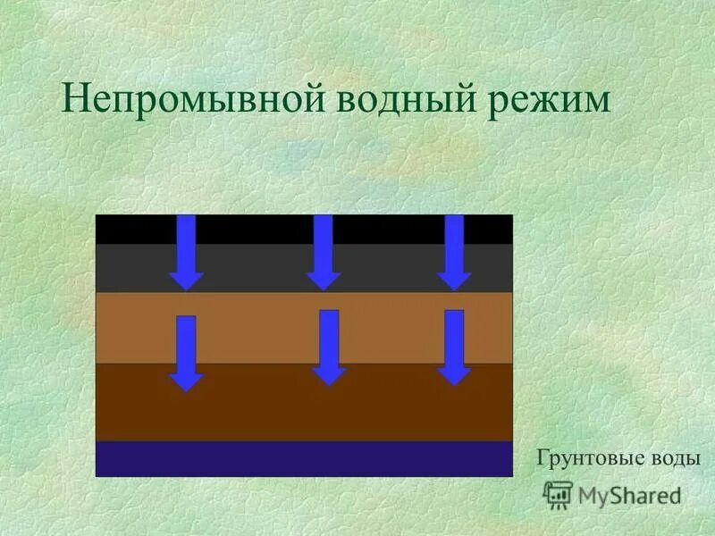 Режим станции. Промывной тип водного режима. промывной водный режим почв. промывной тип водного режима почв. непромывной водный режим.