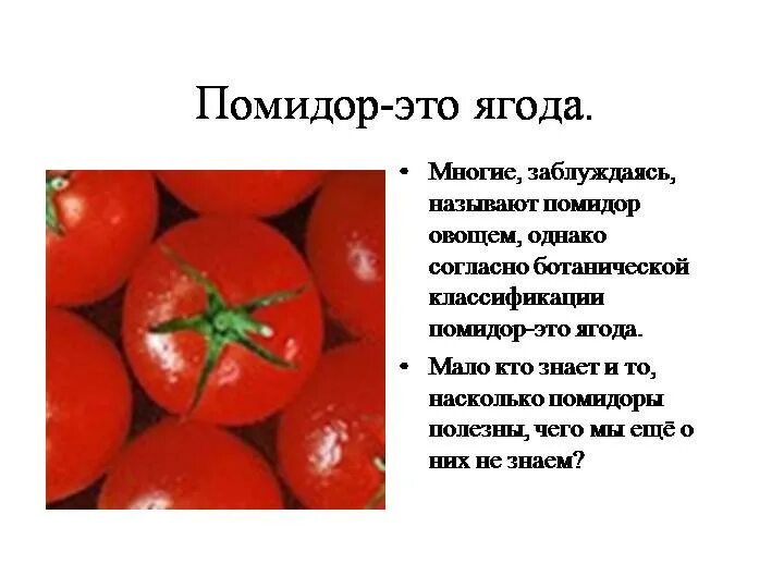 Томат или помидор как правильно. Томат это ягода или овощ или фрукт. Томат вид плода. Помидор это фрукт или овощ. Помидор это ягода или овощ.