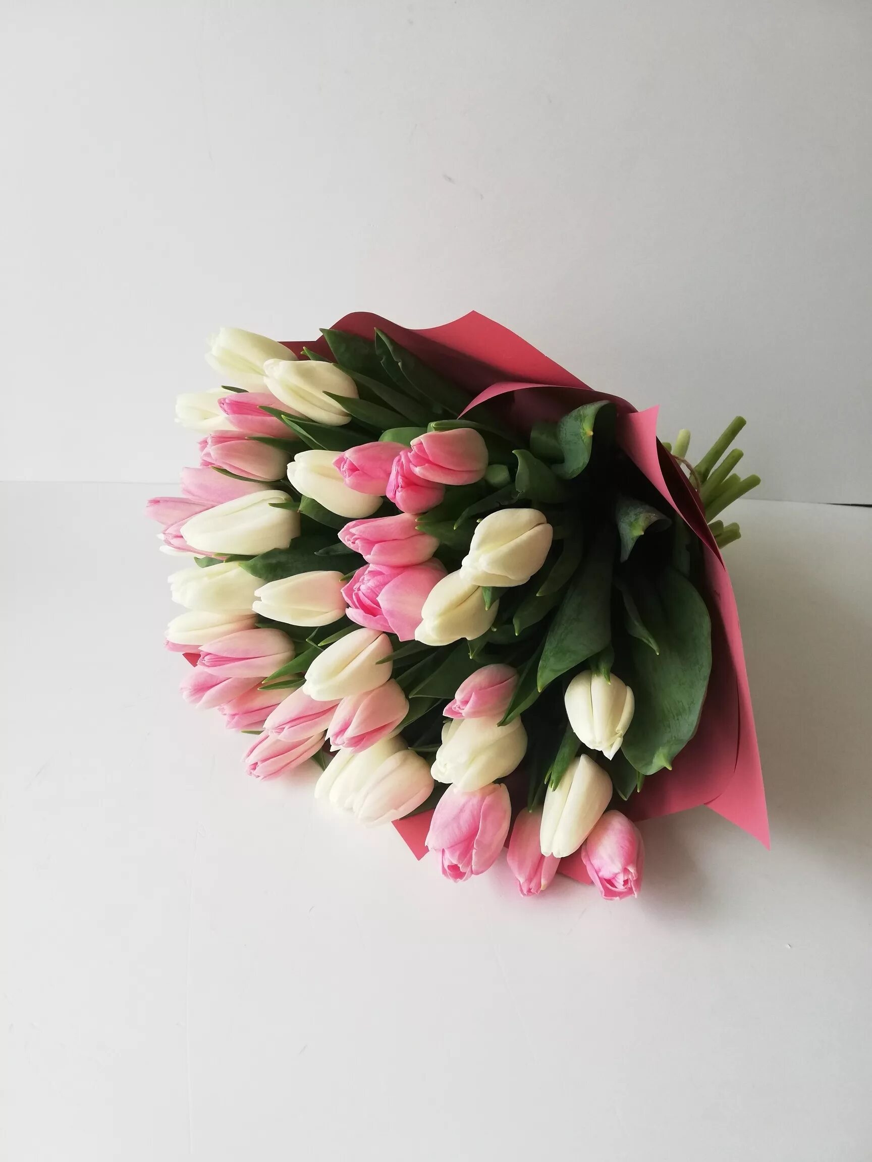 Набор 25 тюльпанов дарвина. Букет "35 красных тюльпанов". Как выглядит букет тюльпанов. Букет тюльпанов 31 шт. Букет тюльпанов 15 шт.