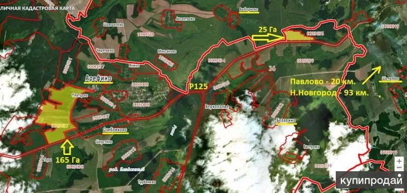 Кадастровая карта павлово нижегородской. Верхополье Нижегородская область Вачский район. Карта Вачского района Нижегородской области. Земли сельскохозяйственного назначения Нижегородская область карта. Кадастровая карта Павловский дачи.