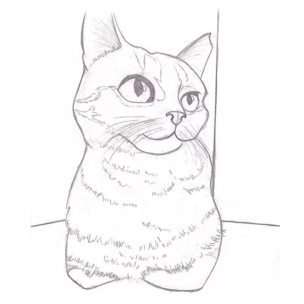 Рисование кошечку. Рисунок кошки для срисовки. Кошка рисунок карандашом. Рисунки котят для срисовки. Рисунок кошечки для срисовки.