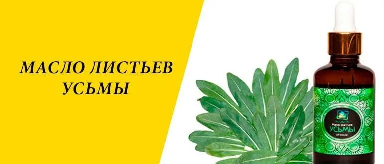 Масло листьев. Масло листьев усьмы bint badur. листьев усьмы png. на что похожи листочки усьмы. масло листовое президент.