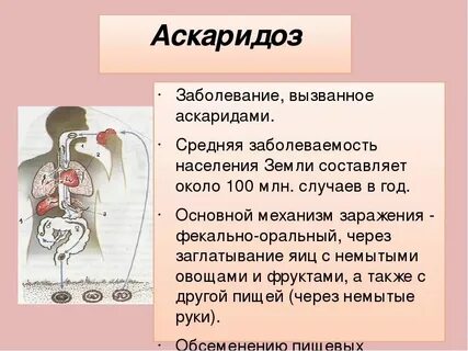 Санпин аскаридоз
