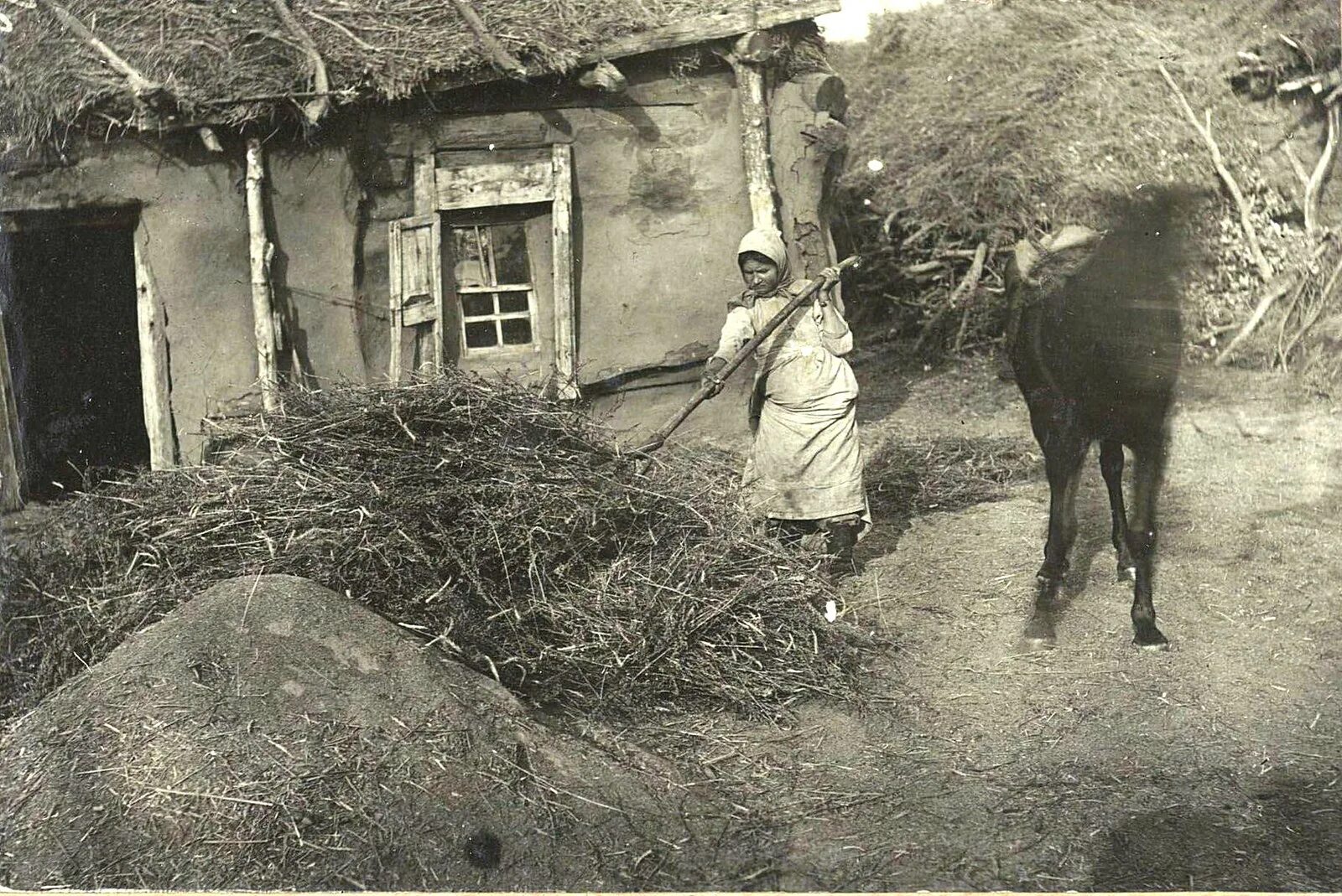 Первый год голода. Голод в Самарской губернии 1921-1922.