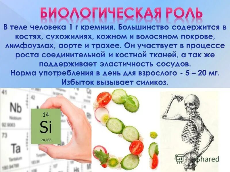 Содержание кремния в продуктах. Кремний для организма человека. Кремний содержится в организме человека. Источники кремния в продуктах. Цинк фтор 2