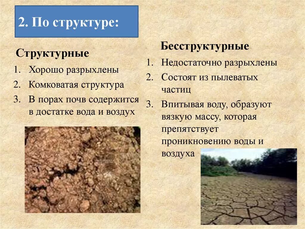 В чем состоит отличие почвы от горной. Комковато-зернистая структура почвы. Структура почвы структурная бесструктурная. Пылеватая структура почвы. Типы структуры почвы.
