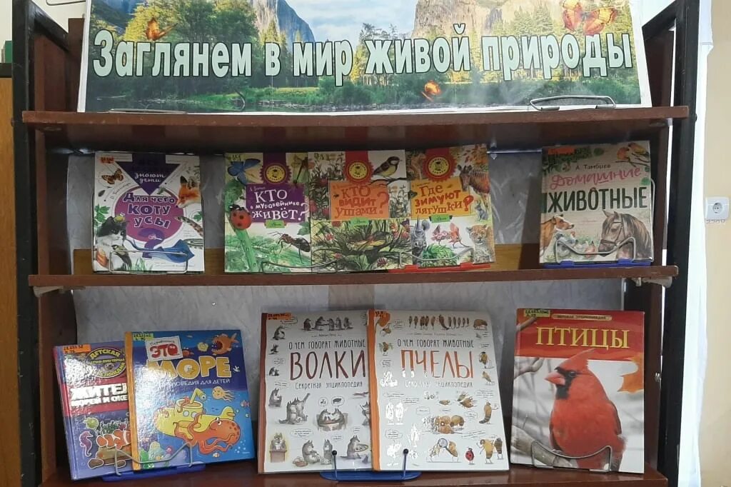 Готовое название книжных выставок. Название книжной выставки. Книжные выставки для юношества в библиотеке. Название книжной выставки для детей. Готовые книжные выставки.