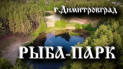 Курланпарк ульяновская область мелекесский