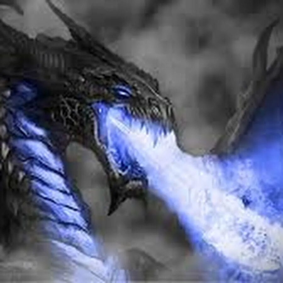 Маласса дракон тьмы. Черно синий дракон. Сине черный дракон. Дракон с синим пламенем. Дракон темного пламени