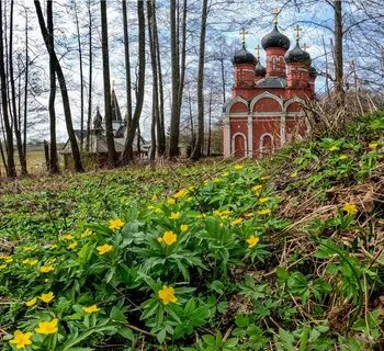 Святая рязанская область