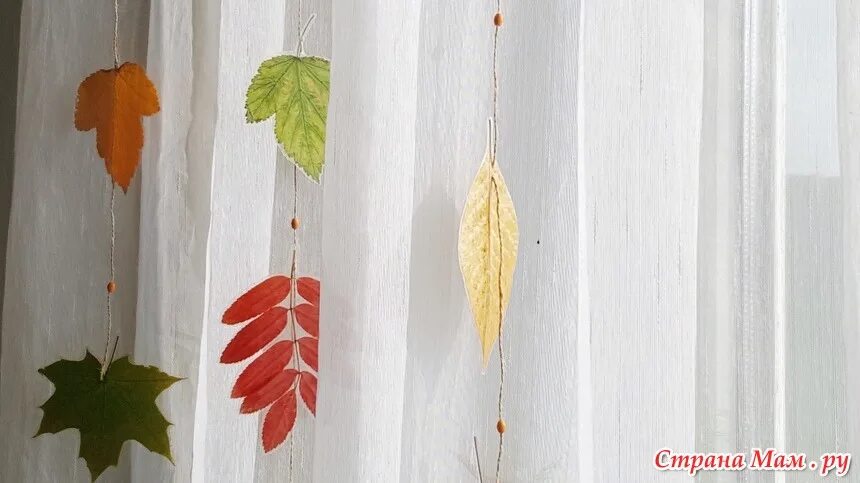 Заламинированные осенние листья. Ламинированные осенние листья. Декор из ламинированных листьев. Заламинировать листочки.