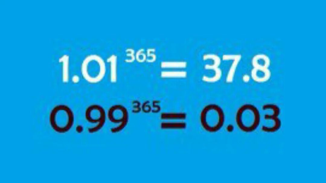 365 реб. 1.01 365. 1.01 В 365 степени. Самый наглядный и эффективный мотиватор. 0.99 И 1.01.