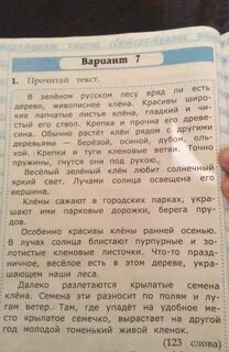 В зеленом русском лесу вряд ли есть