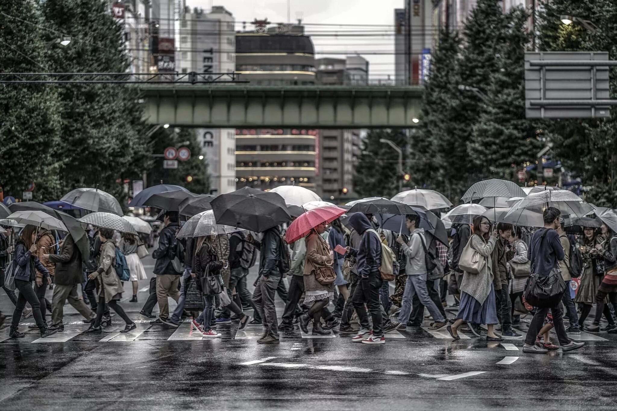Где идет много дождей. Люди в городе. Люди на улице. Городской человек. Современный город с людьми.