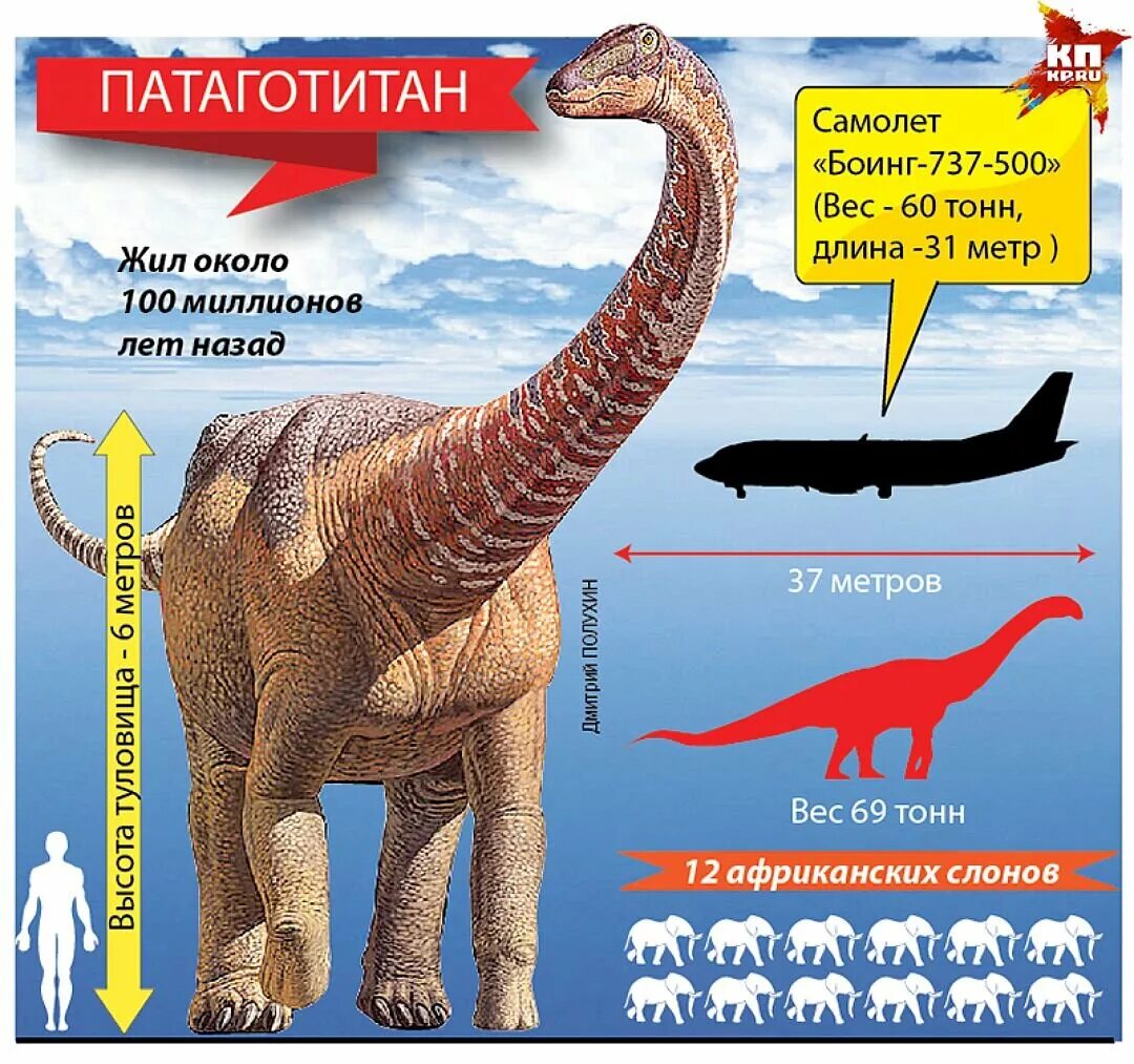 Биомасса организмов земли. Сколько весит слон. Синий кит ≈ 150 тонн. Слон весит. Масса животных на земле.