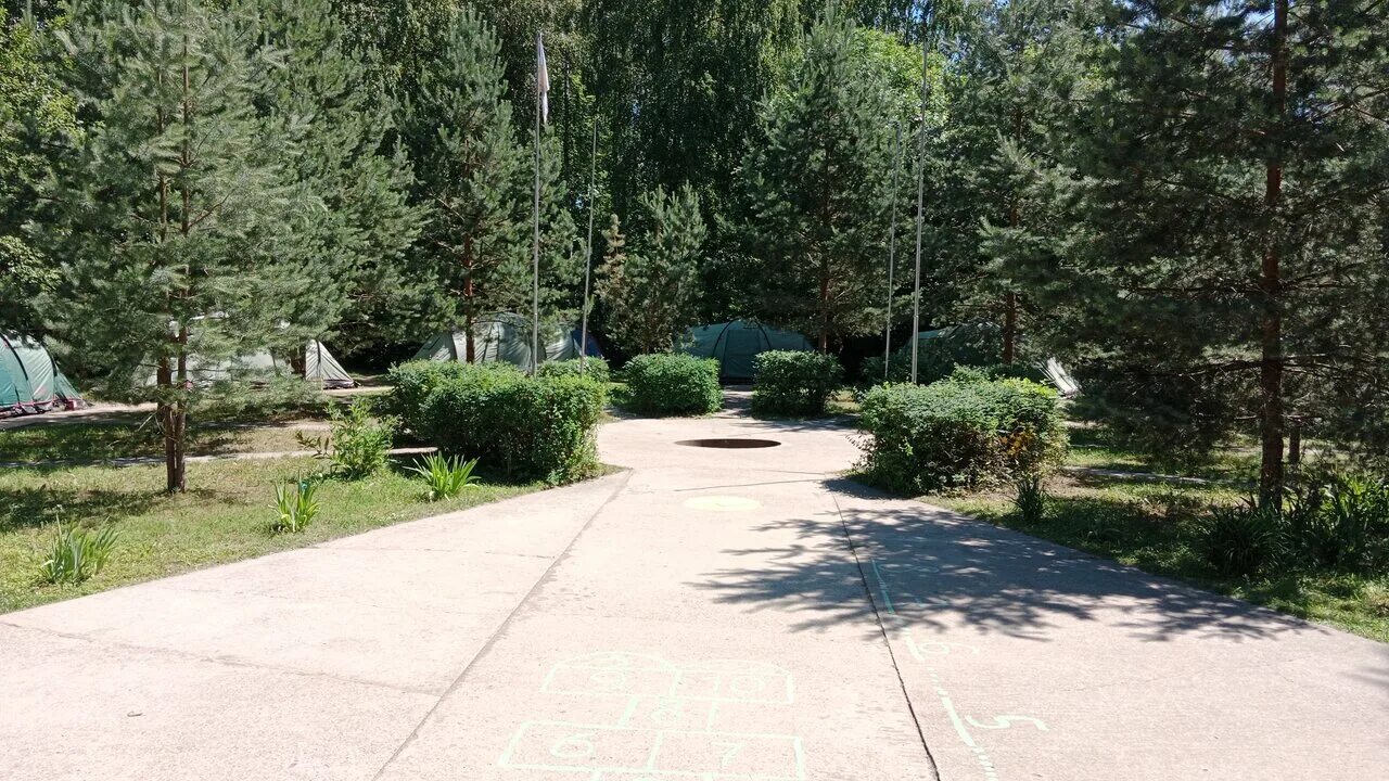 Новая чайка отзывы. Лагерь чайка новая цивилизация. Новая чайка отзывы. Лагерь чайка канск. Новая чайка хуторок.