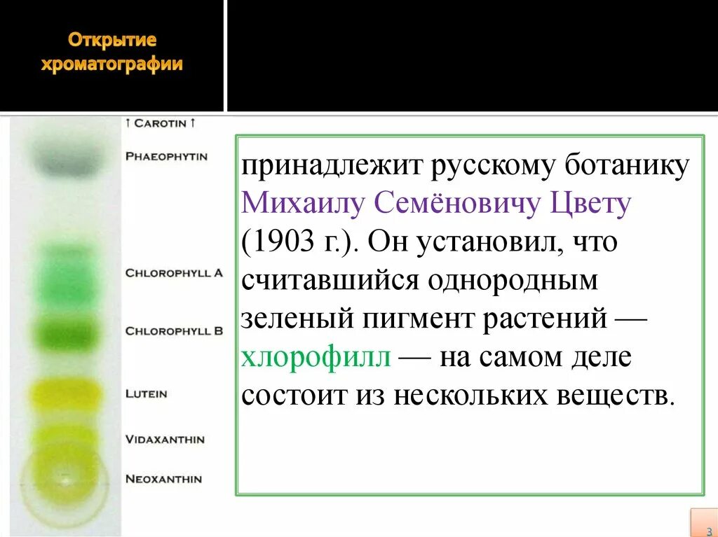 Впервые значение хлорофилла установил русский ученый. Хроматография. Метод хроматографии в биологии. Хроматография в биологии. Хроматография пигментов.