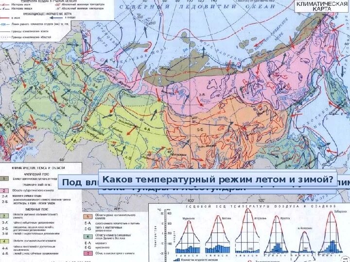 В каком поясе находится тундра. Контурная карта климат россии 8 температура. зона тундра на карте климатических поясов. климатическая карта арктики. арктический климат на карте.