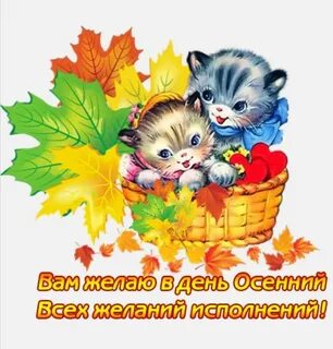 Доброго утра осеннего вторника и хорошего настроения