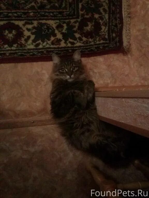 Макс ушел. Макс ушел