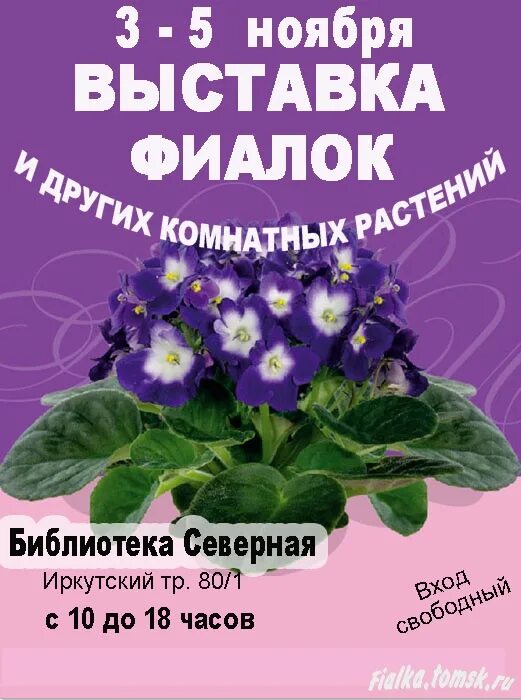 Выставка фиалок в марте 2024. Выставка фиалок. Фиалки в Нижнем Новгороде выставка. Выставка фиалок в Брянске. Выставка фиалок Украина.