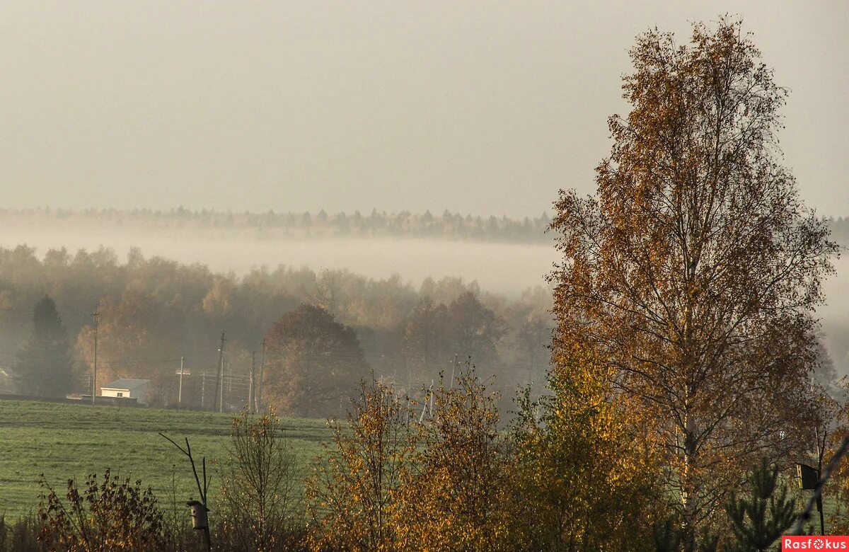 Осеннее утро в деревне фото