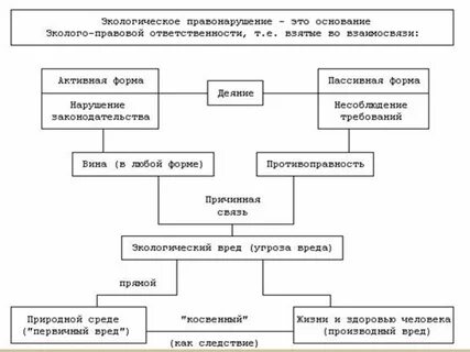 Вина правонарушителя признак экологического правонарушения