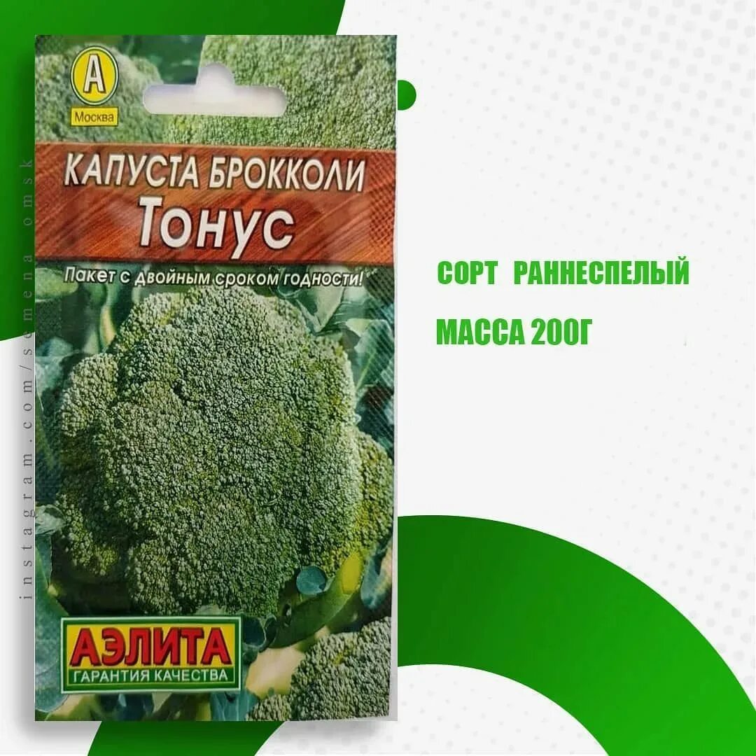 Брокколи тонус описание. Брокколи сорт тонус. Капуста брокколи сорт тонус.