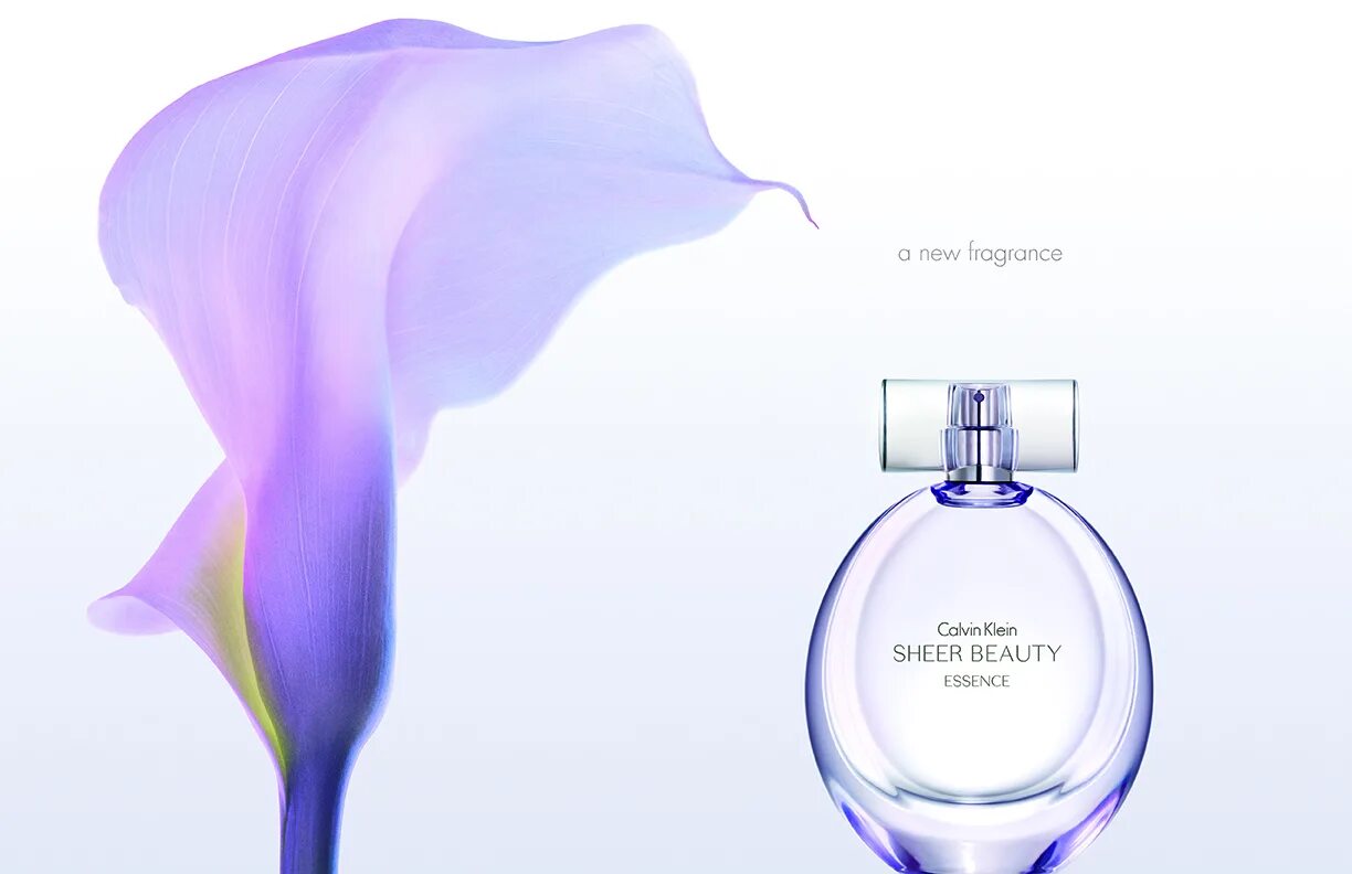 Кляйн шер. Calvin Klein Sheer Beauty Essence 100 ml. Calvin Klein Perfume Sheer Beauty. Кельвин Кляйн духи женские Sheer Beauty. Кельвин Кляйн Парфюм Шер Бьюти.