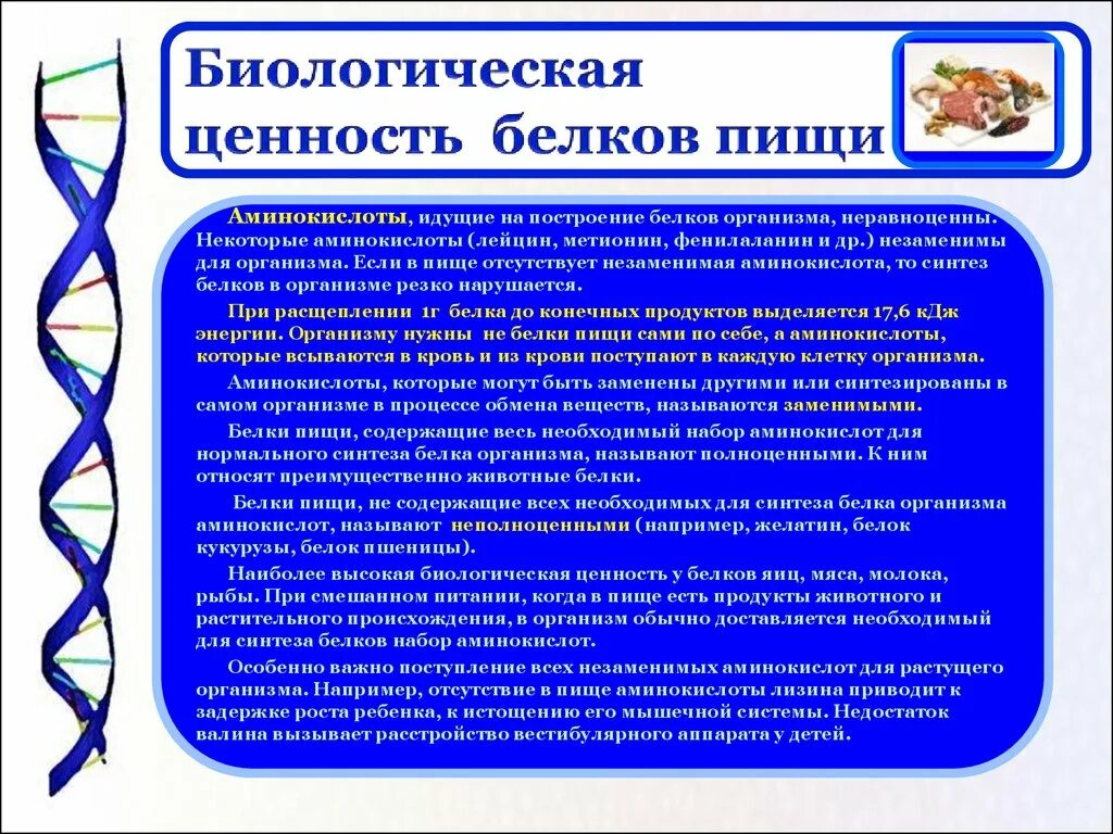 Биологическая роль белков в организме. Биологическая ценность белков пищи. Биологическая ценность белка. Белки их биологическая ценность. Понятие о биологической ценности белков.