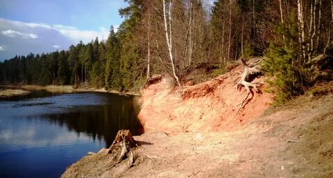 Горки сиверский