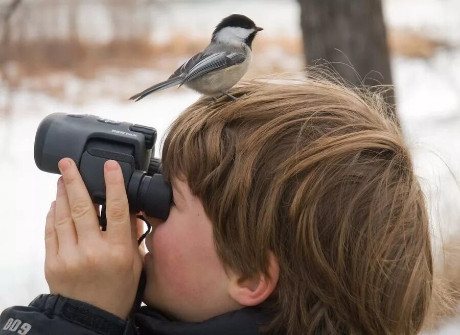 Как называется наблюдение за животными. Наблюдение за птицами. фотографировать птиц. человек фотографирует птицу. наблюдение за животными.