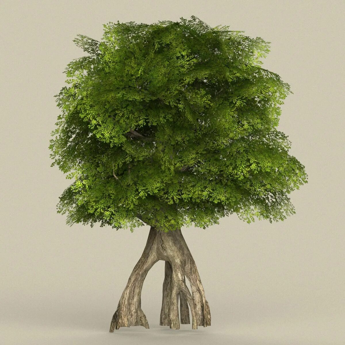 Low tree. Лоу поли дерево 3ds max. лоу поли деревья cinema 4d. 3d models tree midpoly. деревья для синема 4д.