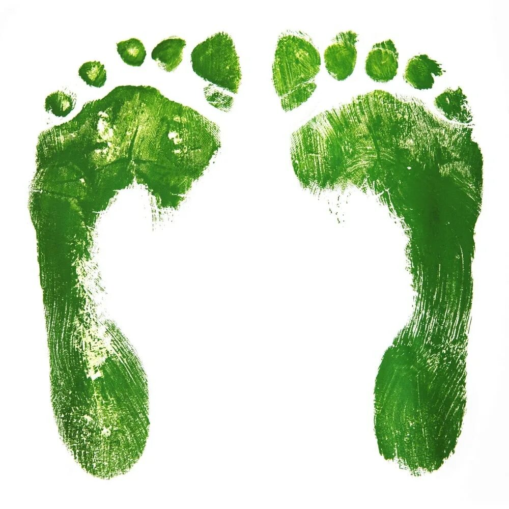 Углеродный след. Footprint. Картинка ecological footprint. Углеродный след знак. Углеродный след животного.