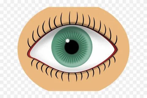 Eye has