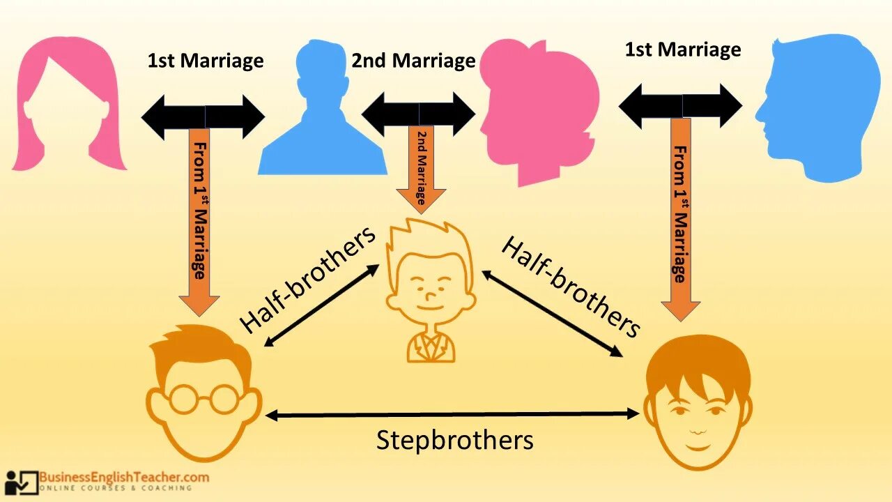 Step meaning. Half brother и Step brother разница. Stepbrother and half brother difference. Step sister and half sister. Step и half sister разница.