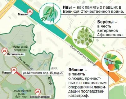 Курс митино