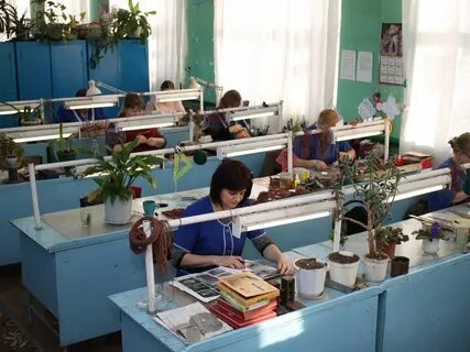 Погода в казаковском промысле