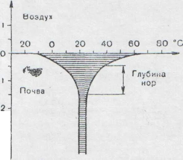 Нулевая глубина. Распределение температуры грунта по глубине. Температура земли на глубине. Температура почвы по глубине. Температура грунта на различных глубинах.