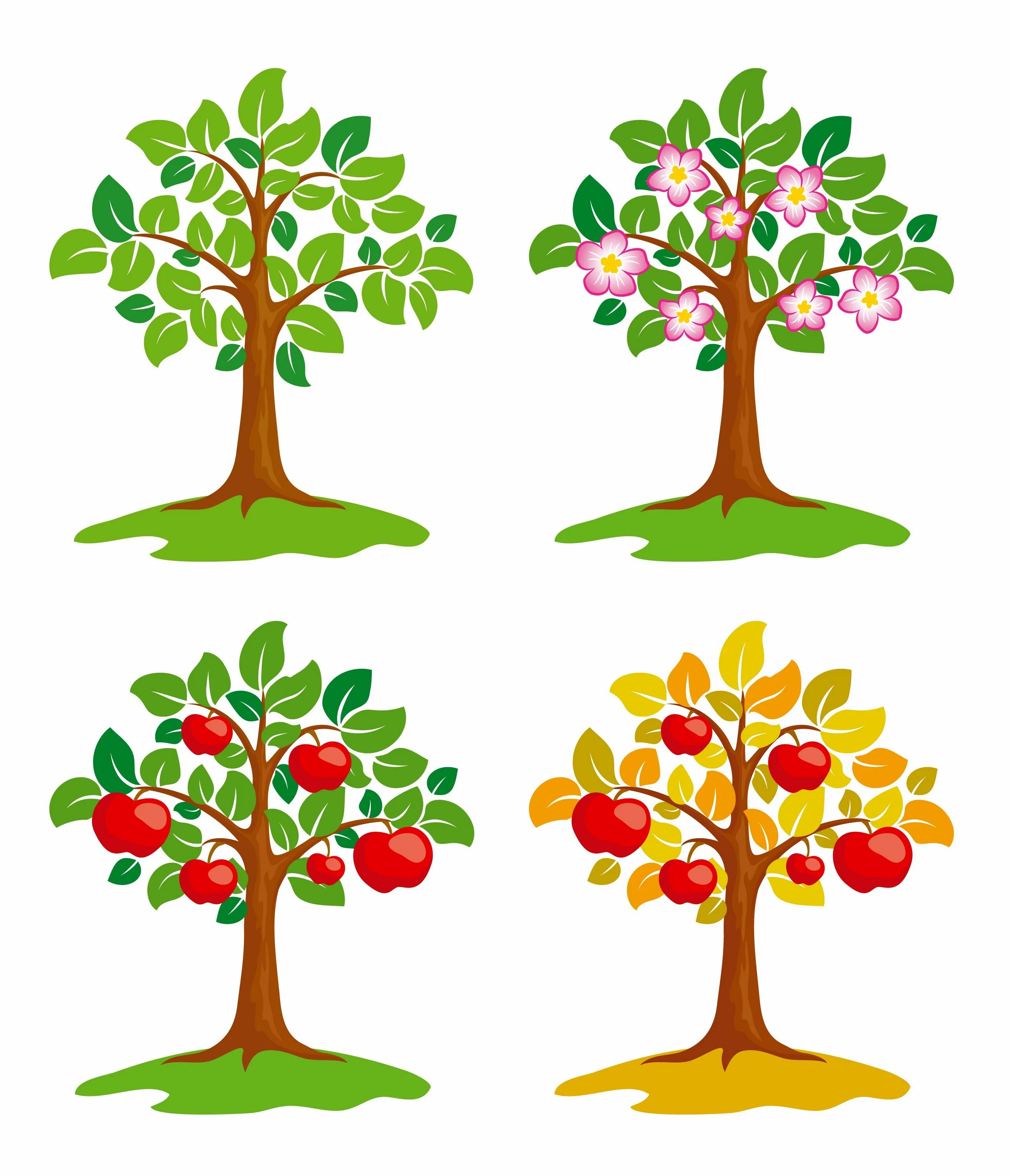 Плодовые деревья для дошкольников. Фруктовые деревья для дошкольников. Яблоня дерево для детей. Мультяшное фруктовое дерево. Яблоня дерево символ