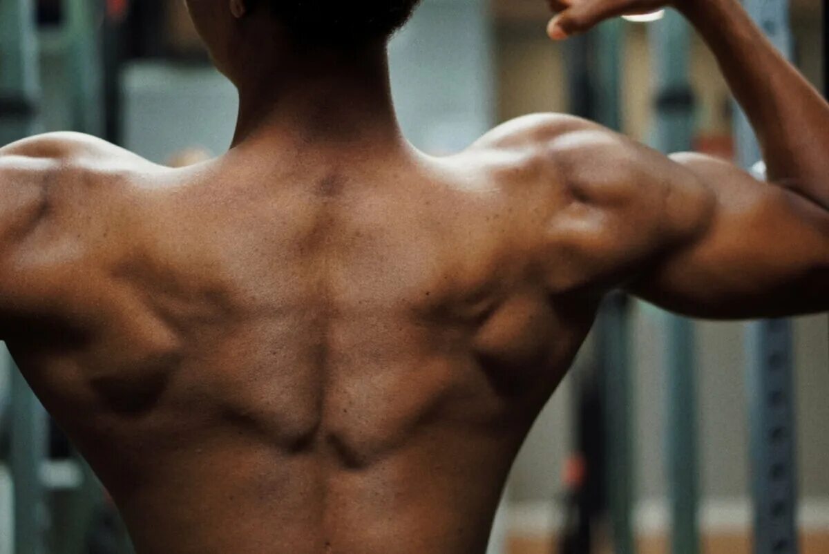 День сильного плеча. Mocha Pro 2021. Сильная спина. Красивые мышцы. Мышцы спины.