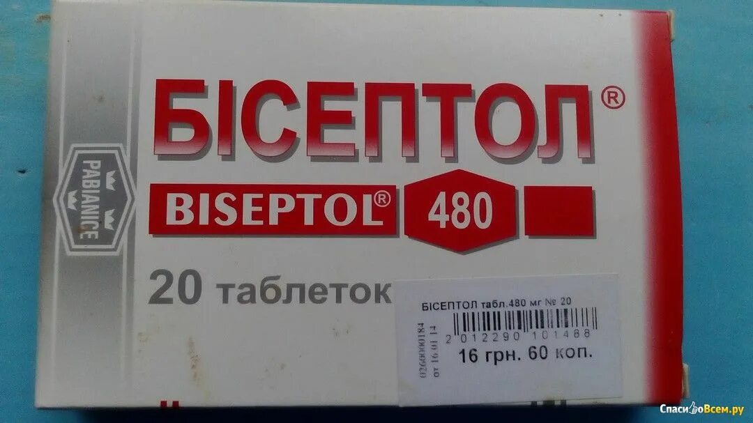 Сколько пить бисептол. Бисептол. бисептол от кашля.