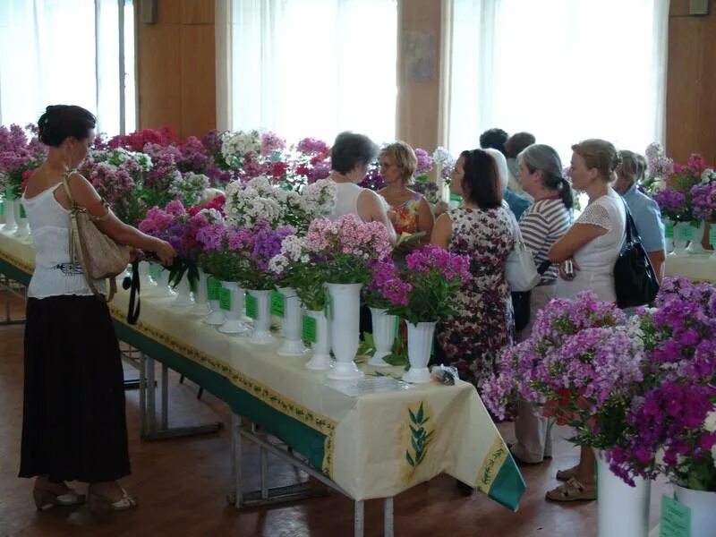 Сельское хозяйство цветоводство. Выставка флоксов на новинском бульваре. Цветовод бай каталог 2024. Цветоводы москвы на новинском бульваре. Агроном цветовод.
